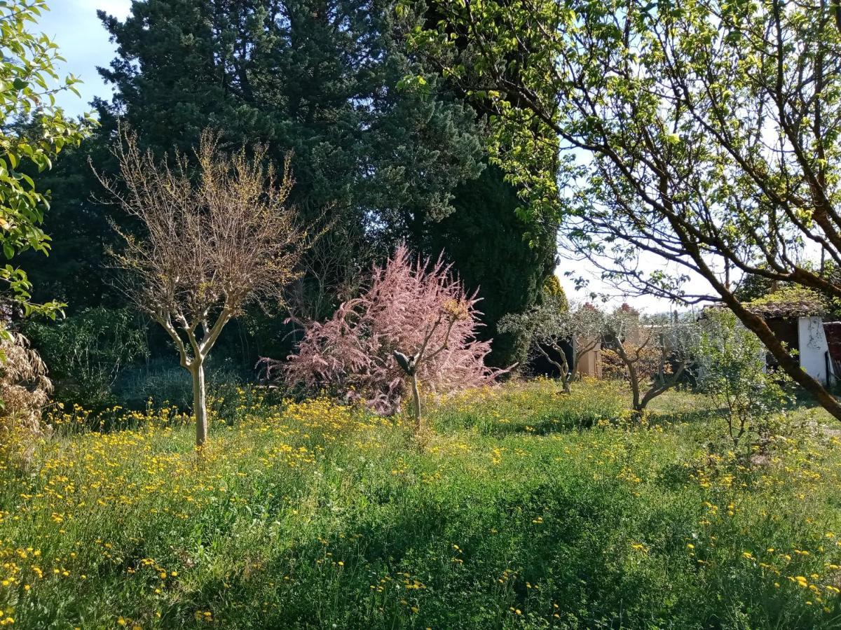 Au Mas Saint Pierre Hotel Pignans Bagian luar foto