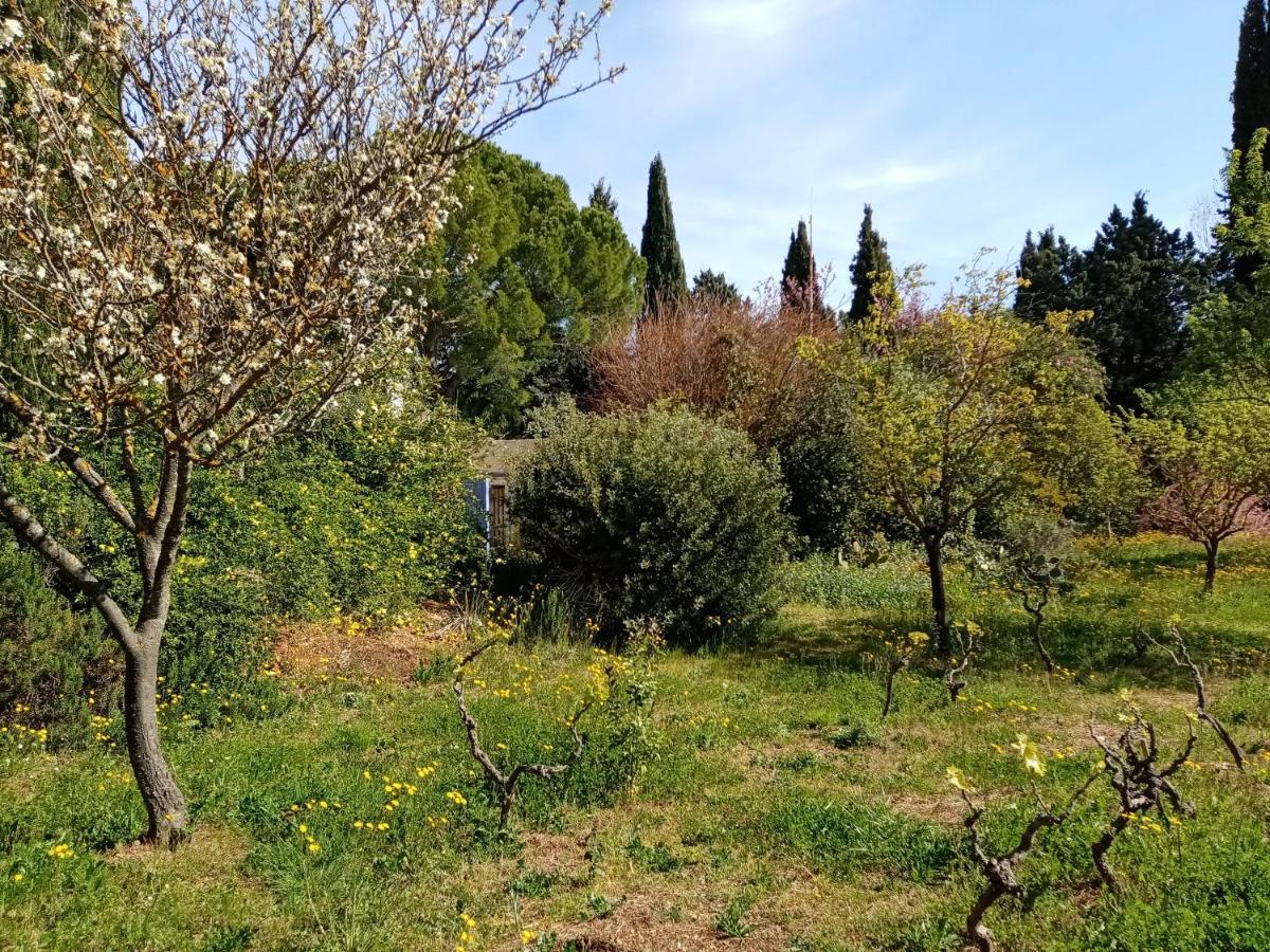 Au Mas Saint Pierre Hotel Pignans Bagian luar foto