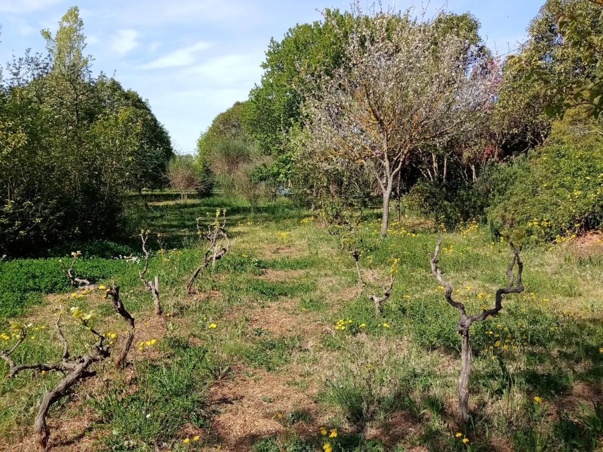 Au Mas Saint Pierre Hotel Pignans Bagian luar foto